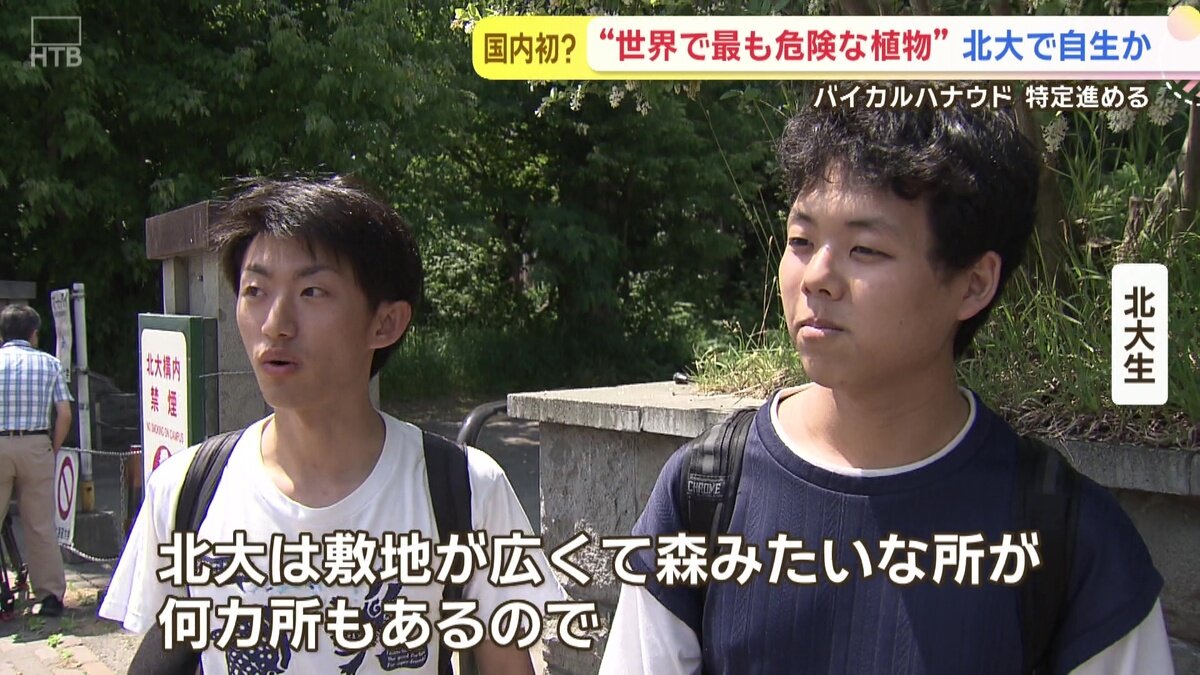 vlcsnap-2025-06-26-14h12m21s375.jpg