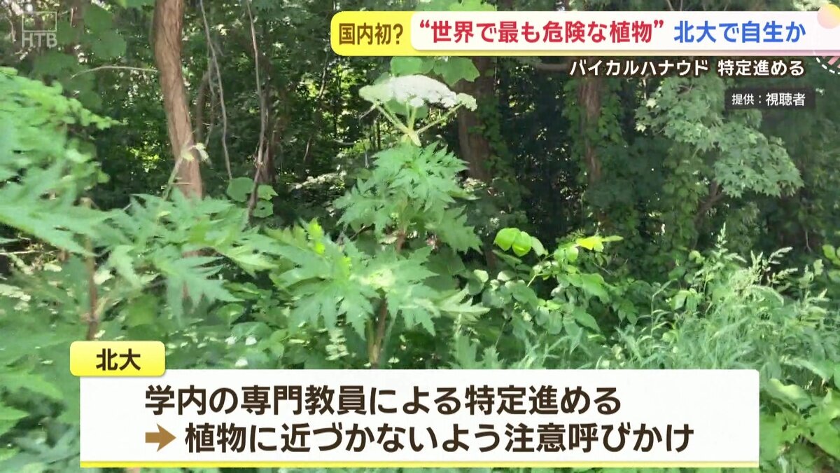 vlcsnap-2025-06-26-14h13m49s263.jpg