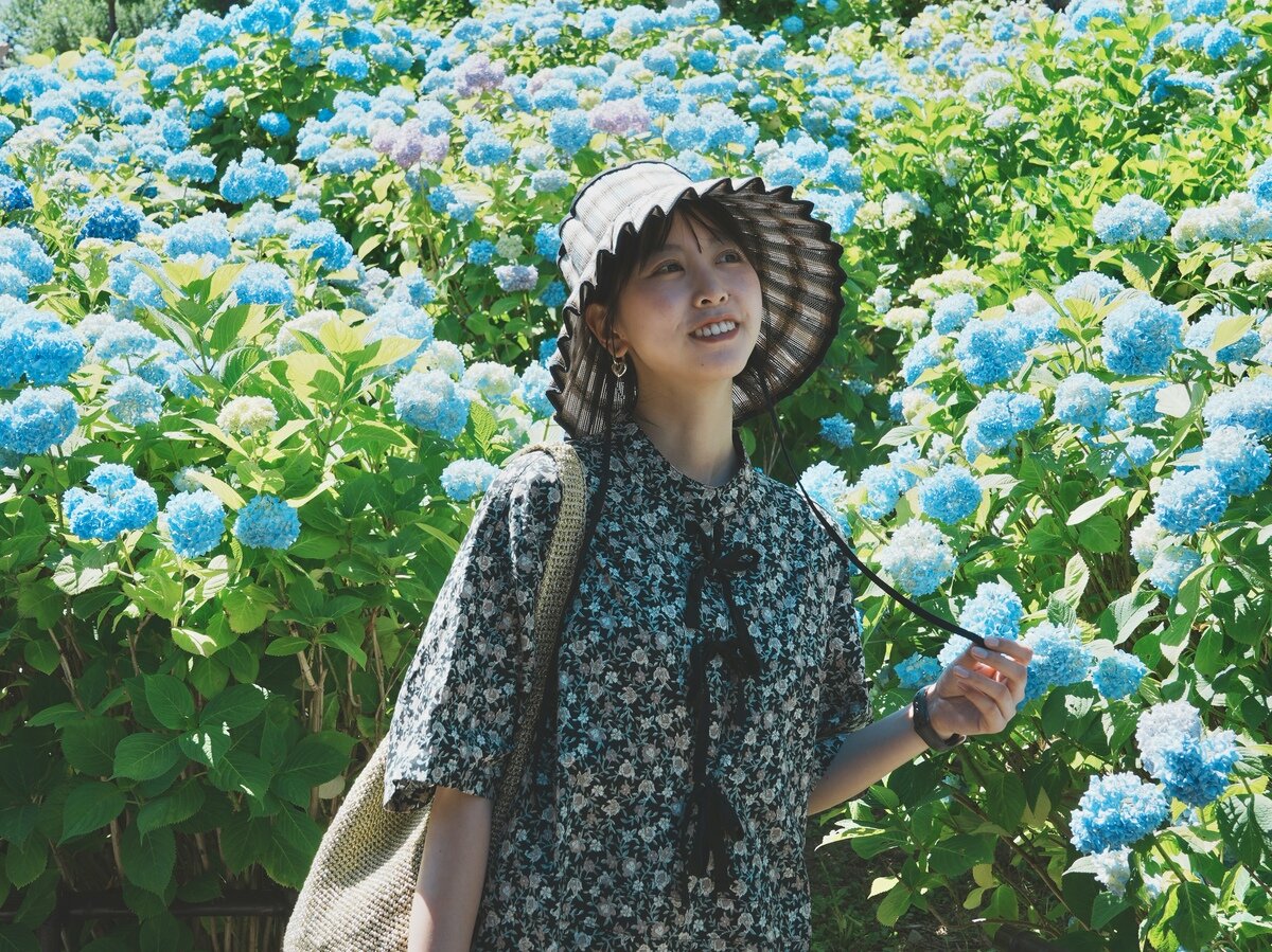 小樽アジサイ⑦.jpg