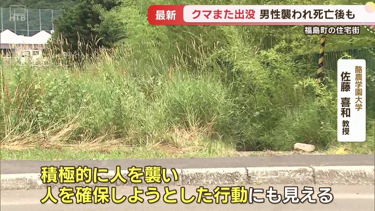 vlcsnap-2025-07-14-16h57m37s374.jpg