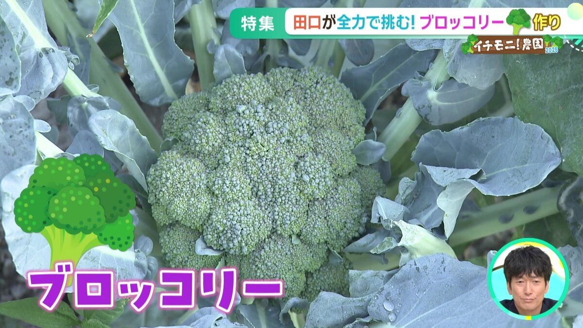 vlcsnap-2025-07-16-14h49m07s932.jpg