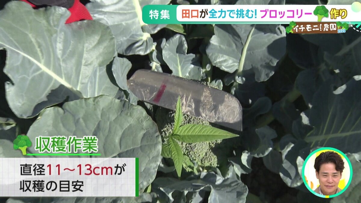 vlcsnap-2025-07-16-14h49m44s731.jpg