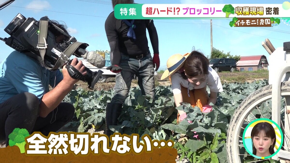 vlcsnap-2025-07-16-14h51m31s982.jpg