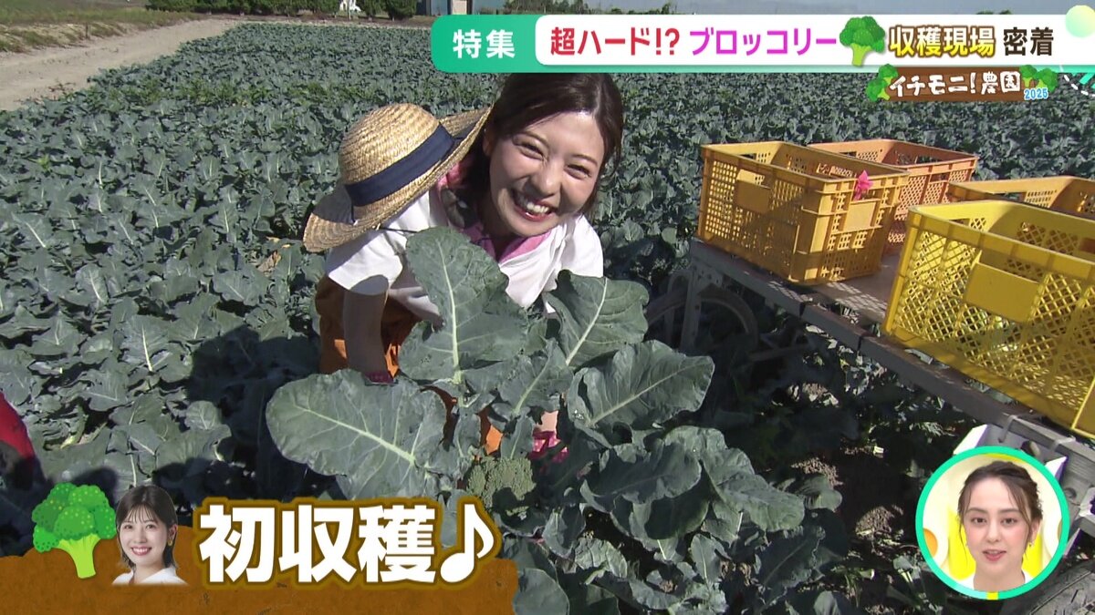 vlcsnap-2025-07-16-14h52m09s713.jpg