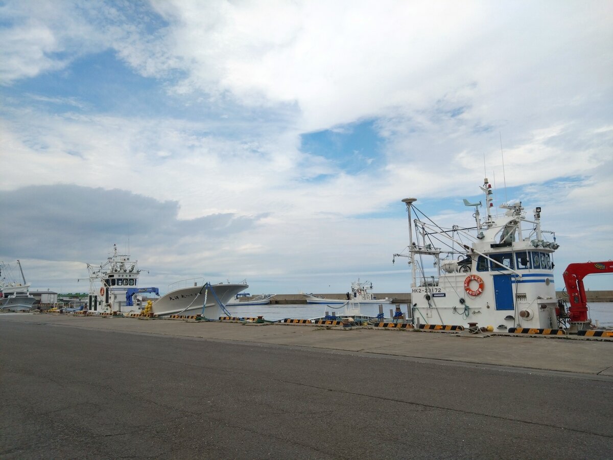 DSC_1296.JPG
