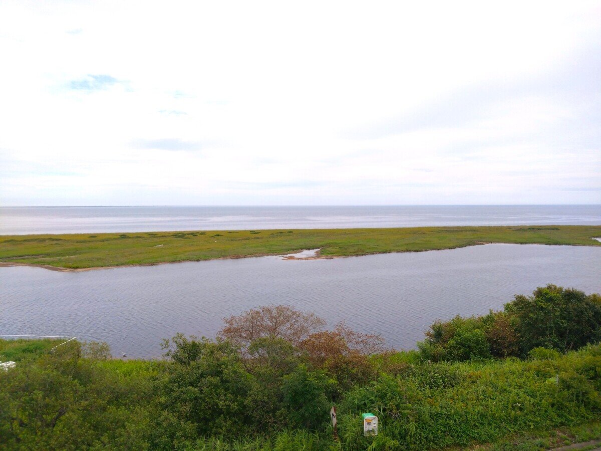 reDSC_1287.JPG