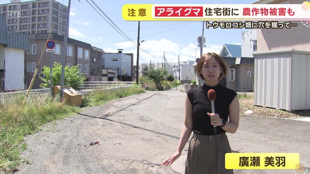 vlcsnap-2025-08-14-17h24m54s295.jpg