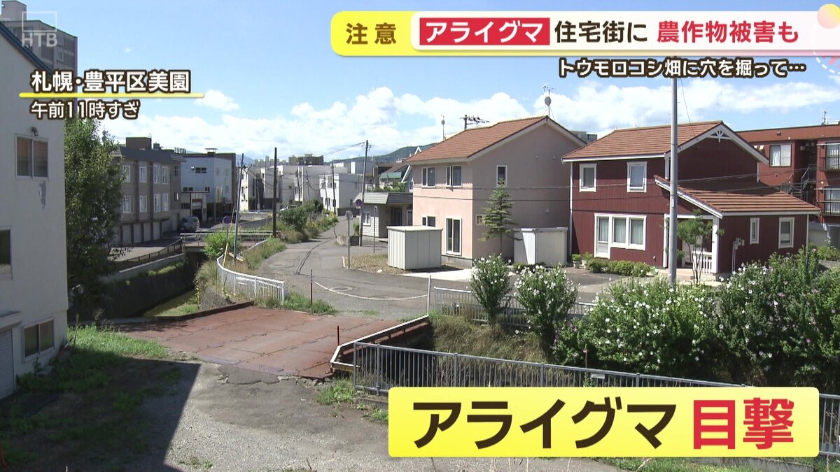 vlcsnap-2025-08-14-17h25m06s396.jpg