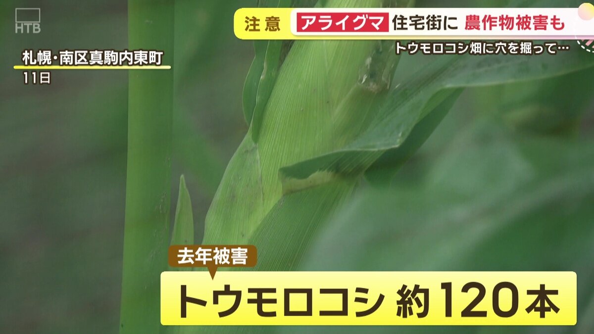 vlcsnap-2025-08-14-17h25m59s846.jpg