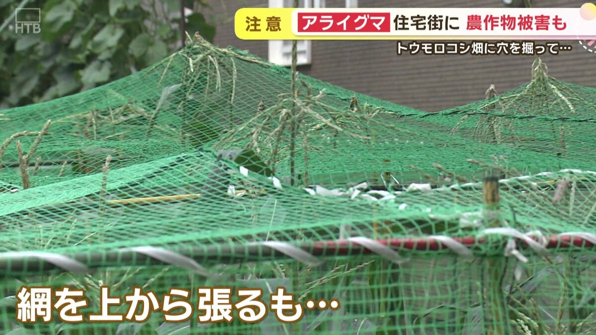 vlcsnap-2025-08-14-17h26m13s803.jpg