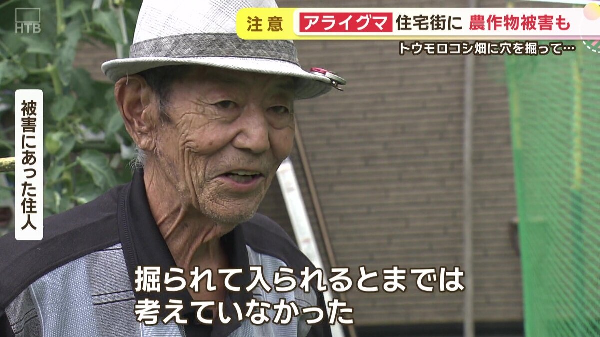 vlcsnap-2025-08-14-17h26m32s207.jpg