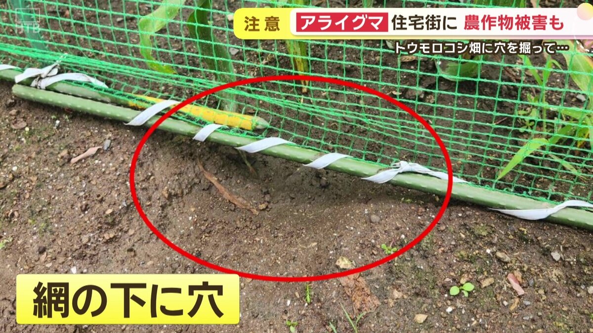 vlcsnap-2025-08-14-17h26m44s380.jpg