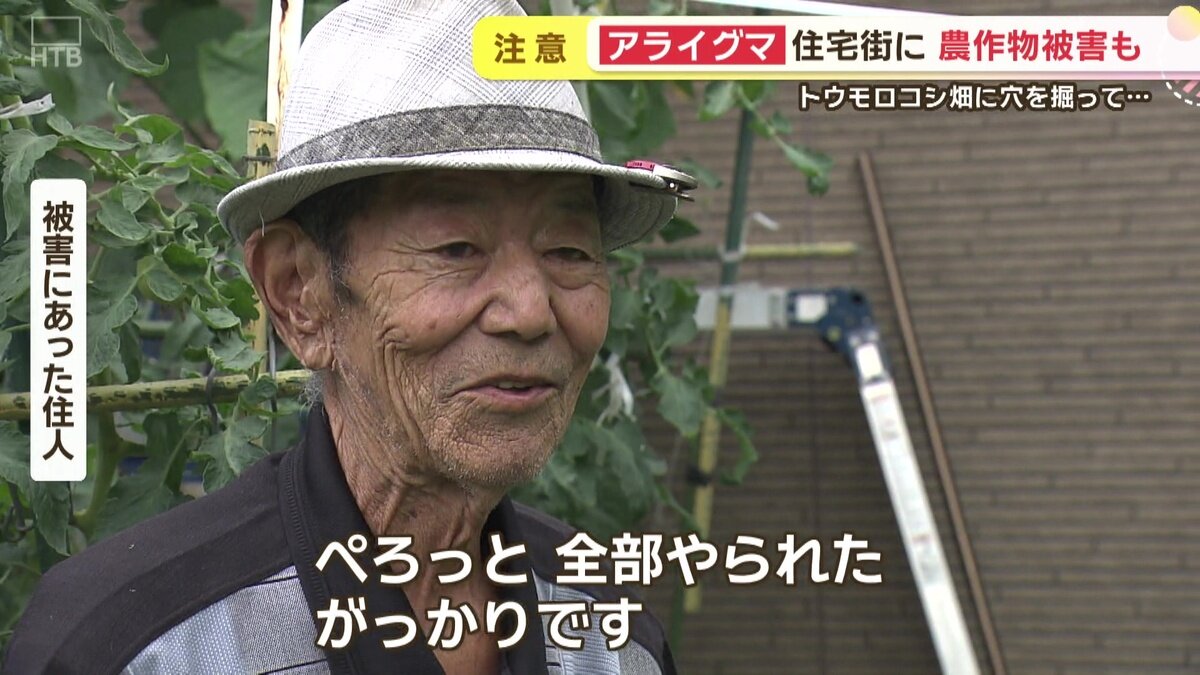 vlcsnap-2025-08-14-17h27m05s192.jpg