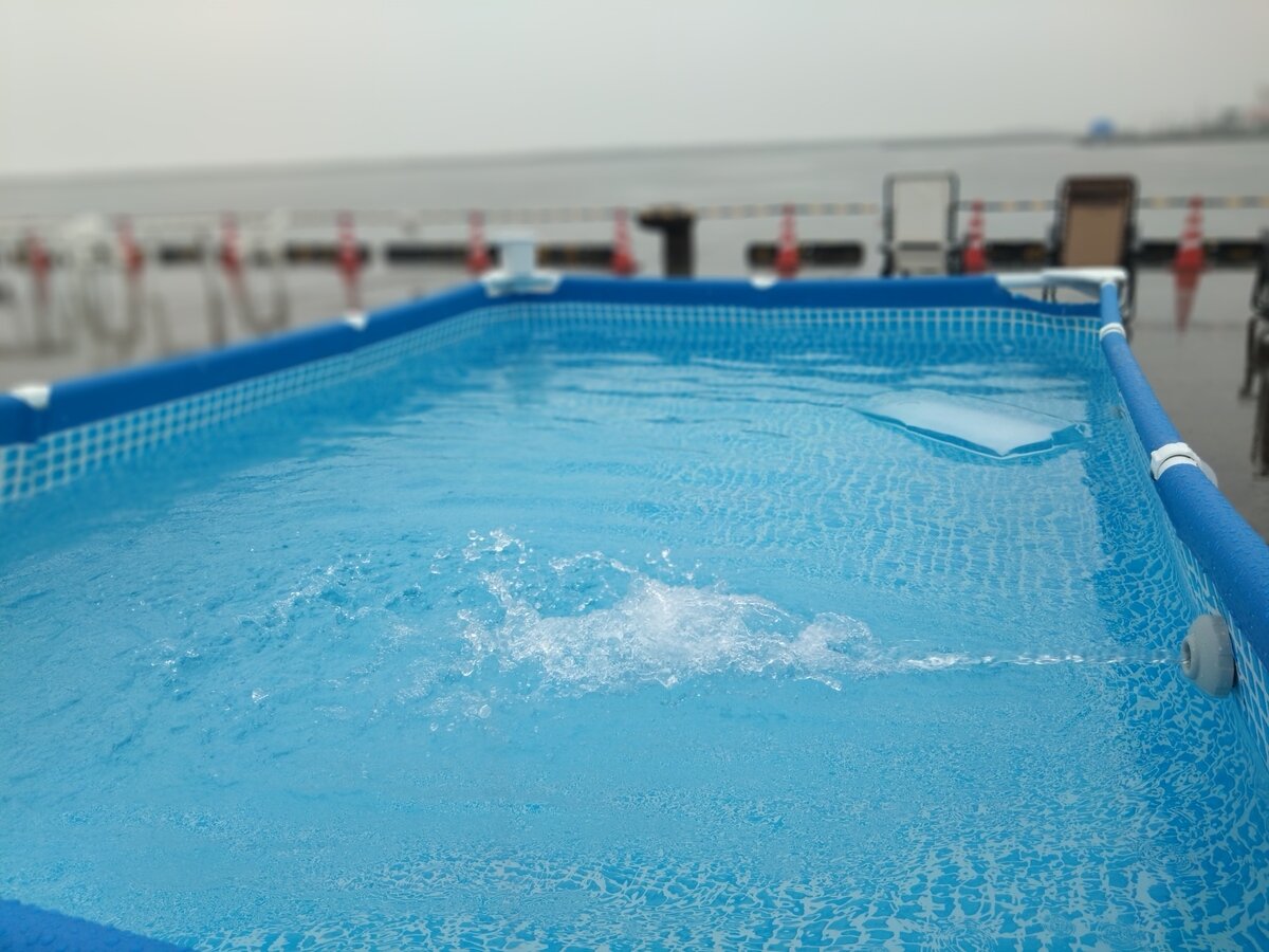 DSC_1165.JPG