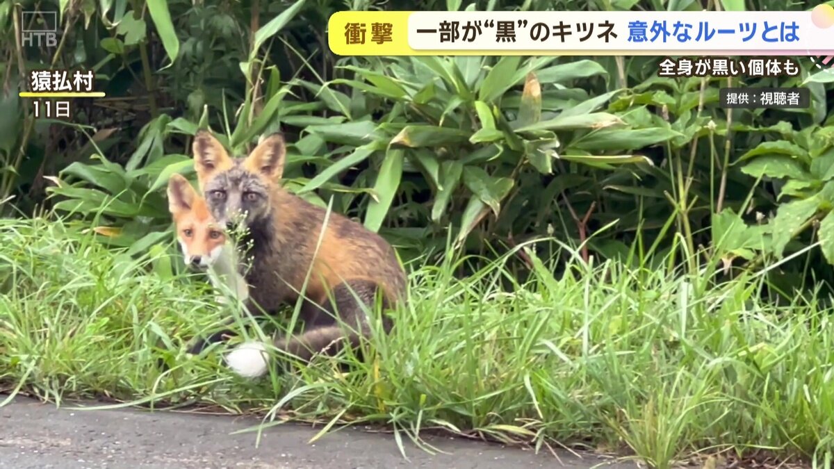 vlcsnap-2025-08-25-10h06m53s200.jpg