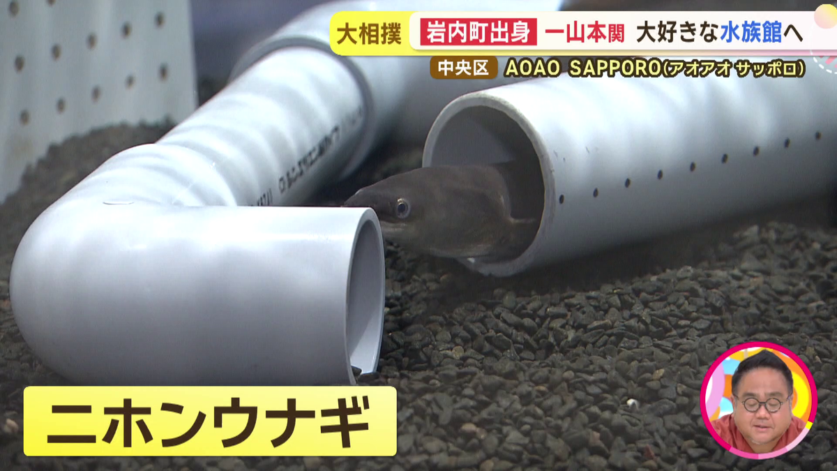 vlcsnap-2025-09-11-17h51m13s340.png