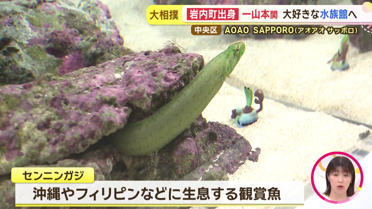 vlcsnap-2025-09-11-17h52m29s076.png