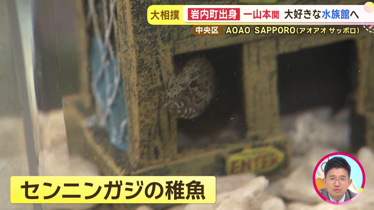 vlcsnap-2025-09-11-17h52m36s281.png