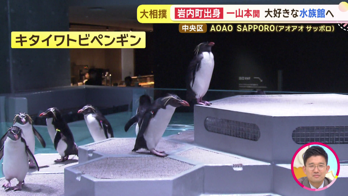 vlcsnap-2025-09-11-17h54m48s330.png