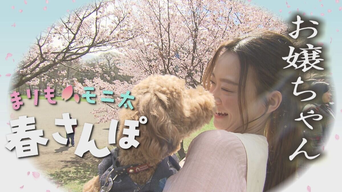 犬が主役のイベントやサービスが続々登場！