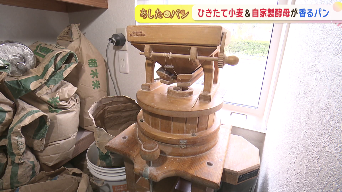 vlcsnap-2026-05-18-10h48m18s181.png
