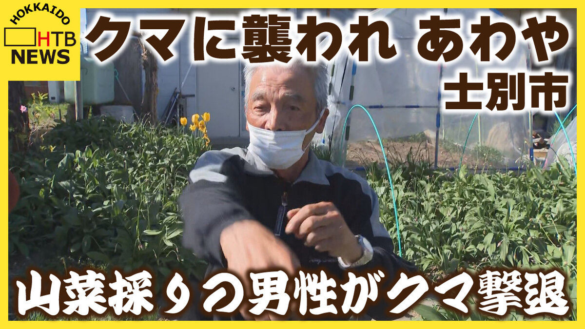 山採り　クマシデ 楽天市場】山菜採りポール「熊撃退」特許取得済み 熊対策 熊避け 熊槍