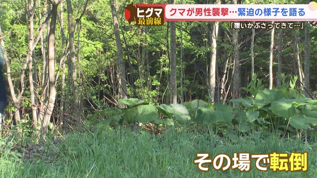 vlcsnap-2026-05-21-14h33m50s613.jpg