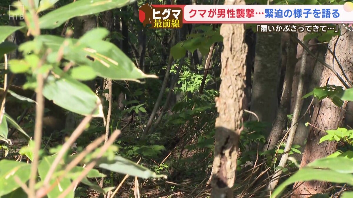 vlcsnap-2026-05-21-14h36m37s338.jpg