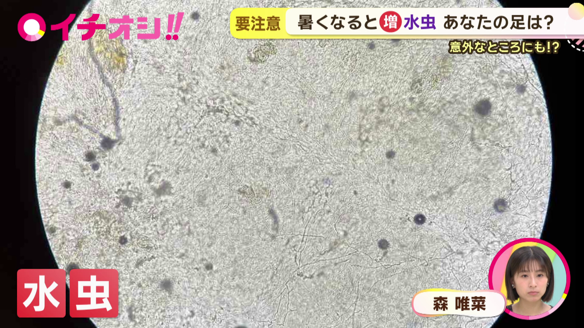 vlcsnap-2026-06-19-13h33m56s843.png