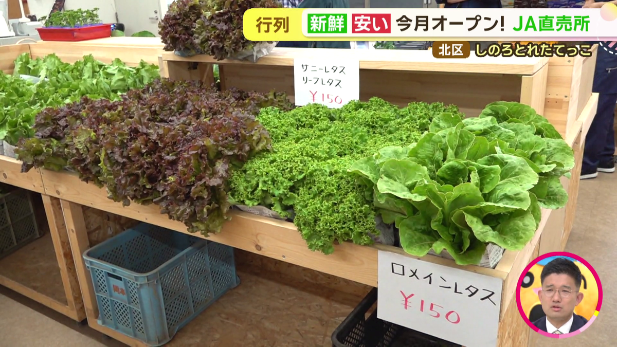 vlcsnap-2026-06-25-12h41m32s531.png