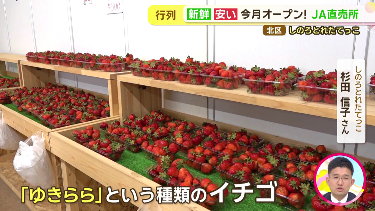 vlcsnap-2026-06-25-12h41m46s170.png