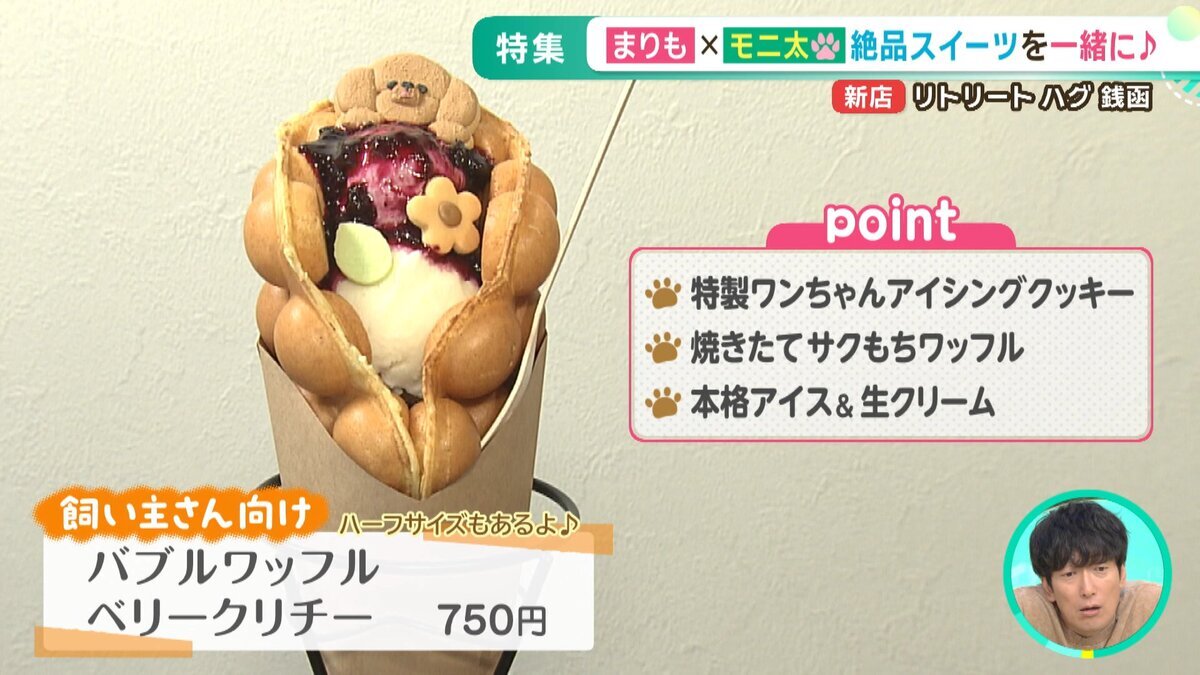 YOUTUBE用.mp4_snapshot_04.49_[2026-07-03_17.45.31].jpg