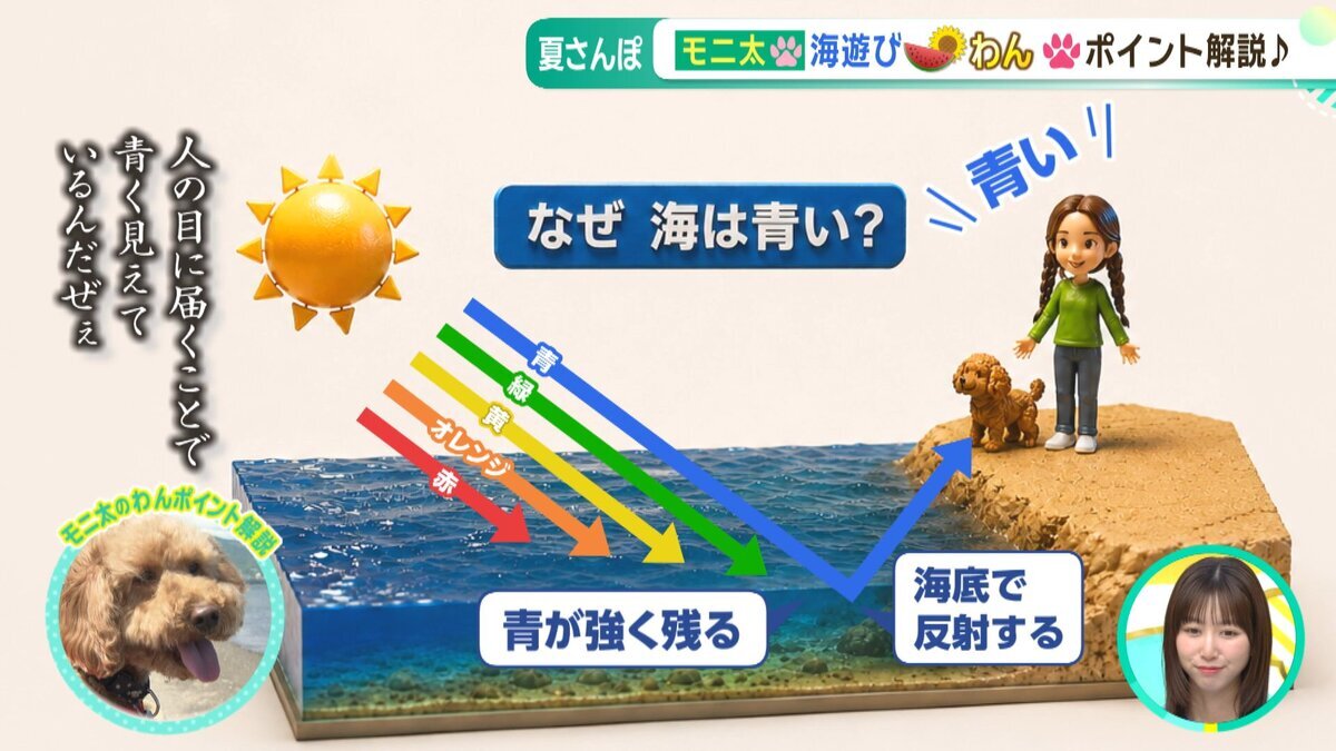 YOUTUBE用.mp4_snapshot_01.25_[2026-07-03_17.41.28].jpg