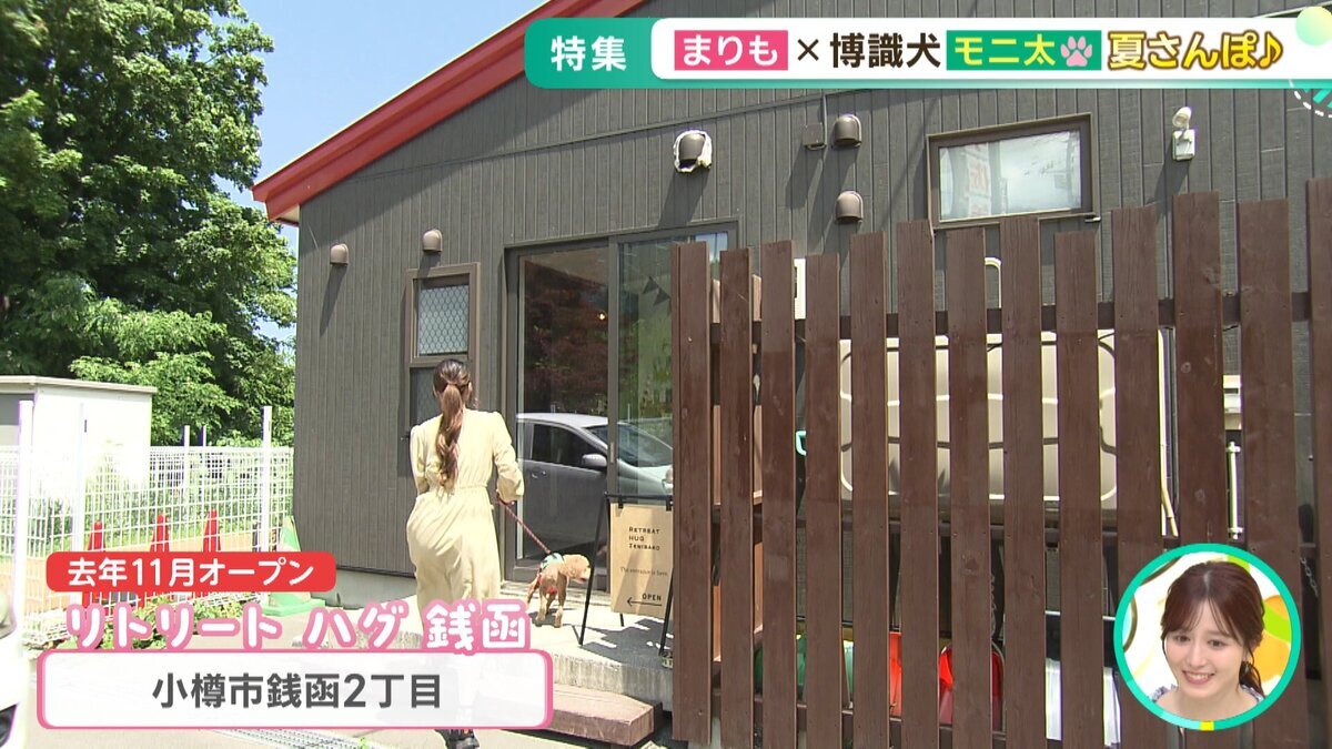 YOUTUBE用.mp4_snapshot_03.44_[2026-07-03_17.44.04].jpg