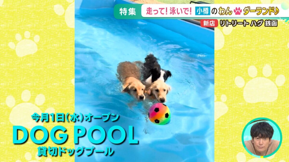 YOUTUBE用.mp4_snapshot_07.11_[2026-07-03_17.48.19].jpg