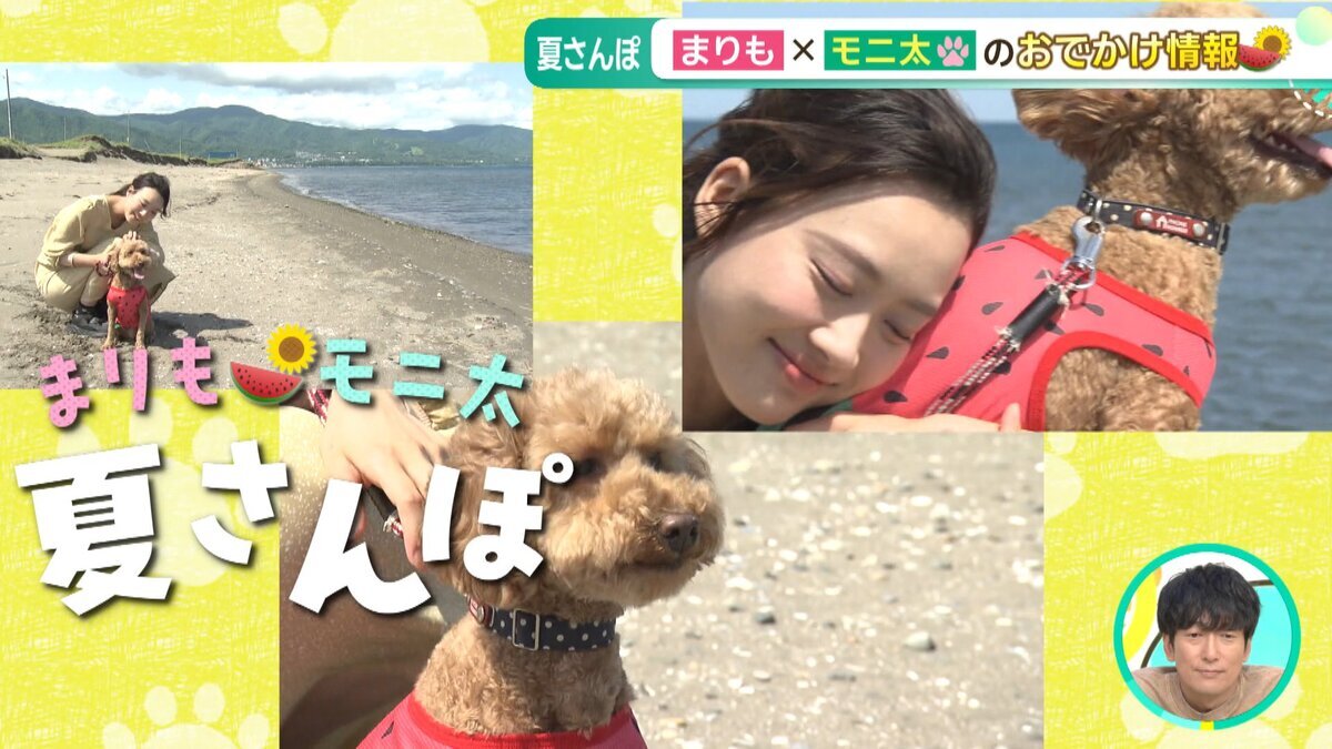 YOUTUBE用.mp4_snapshot_00.34_[2026-07-03_17.40.33].jpg