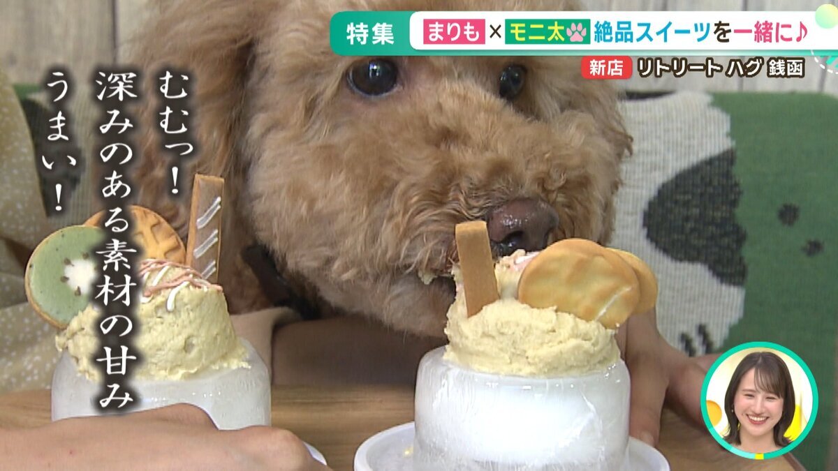 YOUTUBE用.mp4_snapshot_05.43_[2026-07-03_17.46.32].jpg