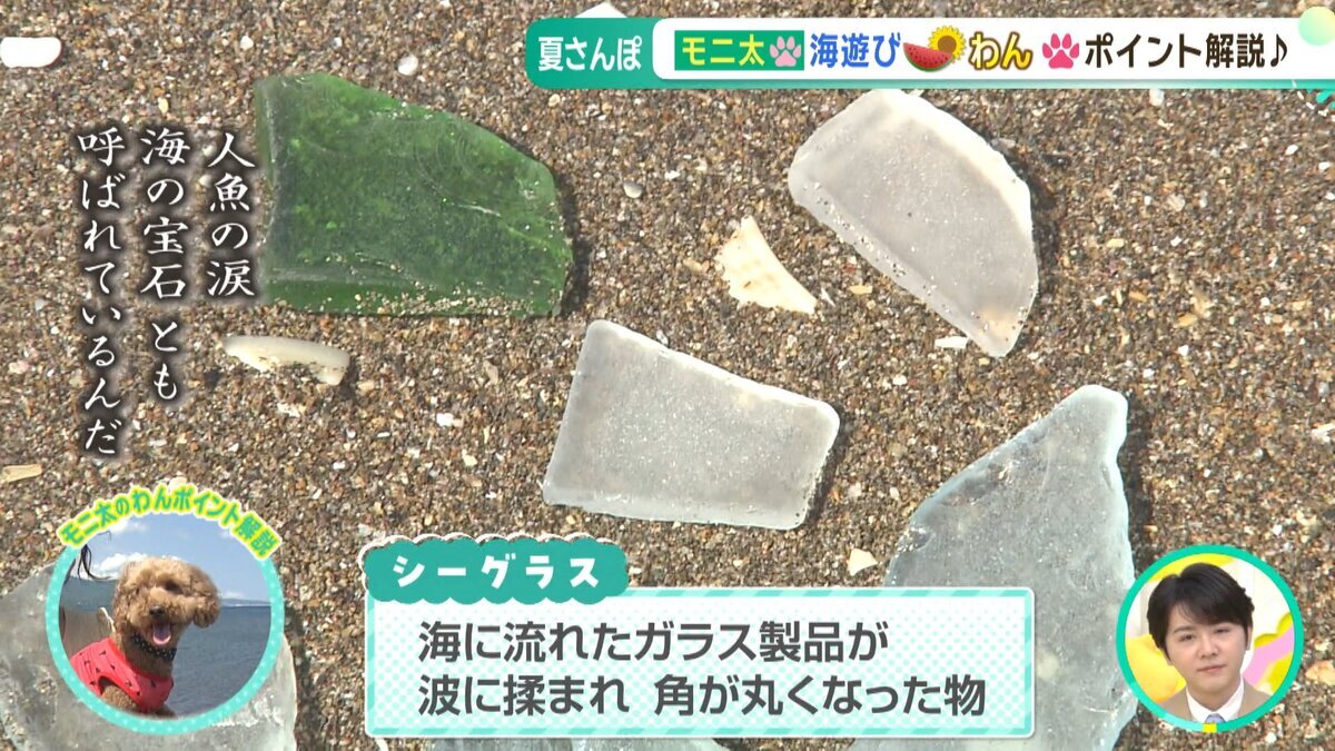 YOUTUBE用.mp4_snapshot_02.11_[2026-07-03_17.42.24].jpg