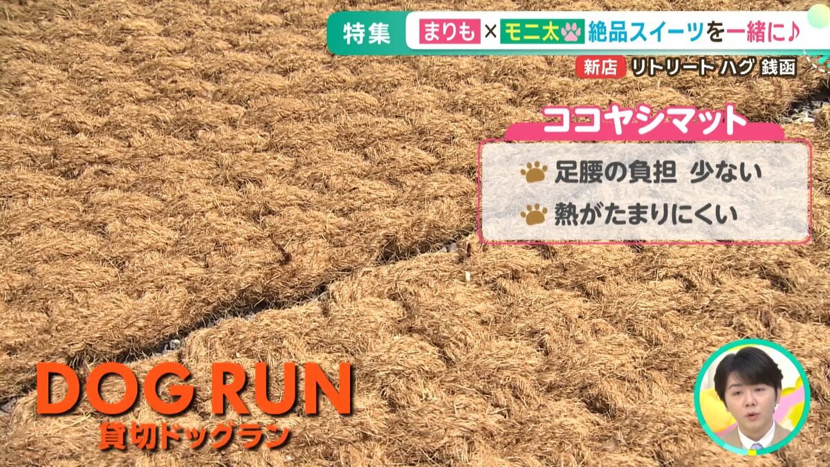 YOUTUBE用.mp4_snapshot_06.39_[2026-07-03_17.47.43].jpg