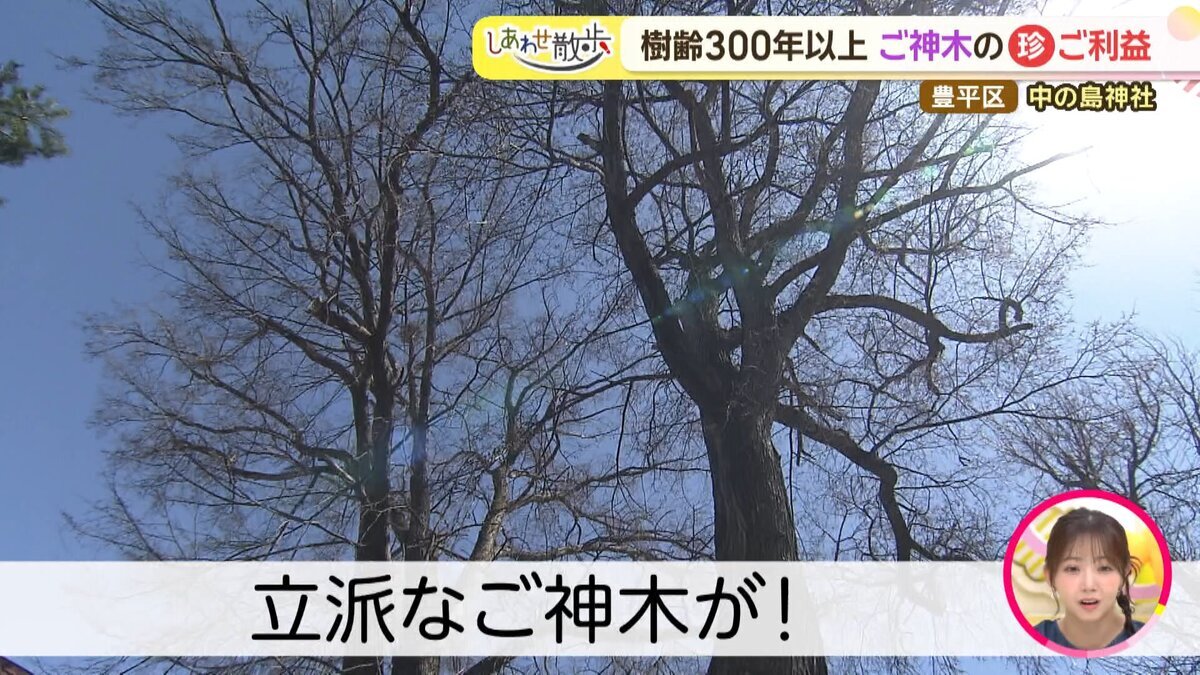 15分25秒.mp4_snapshot_03.55_[2026-07-09_12.38.36].jpg