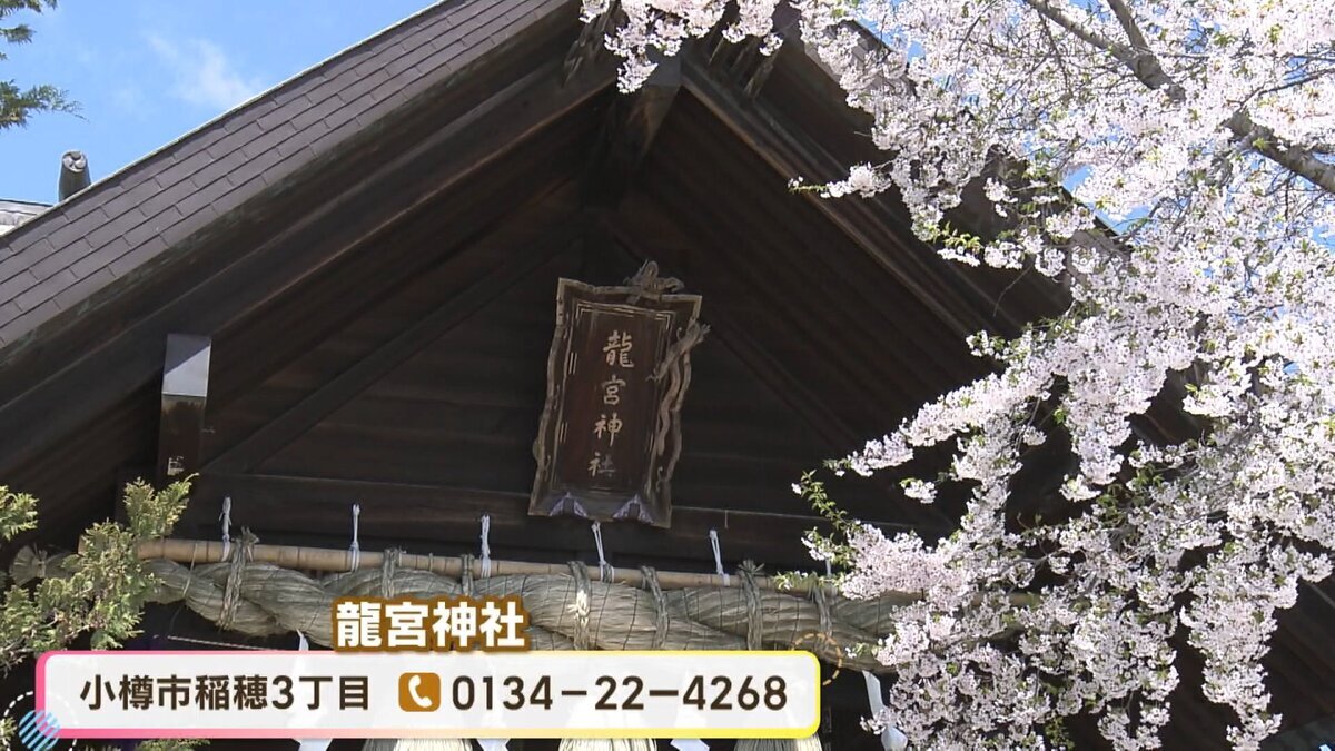 15分58秒.mp4_snapshot_00.43_[2026-07-17_19.01.20].jpg
