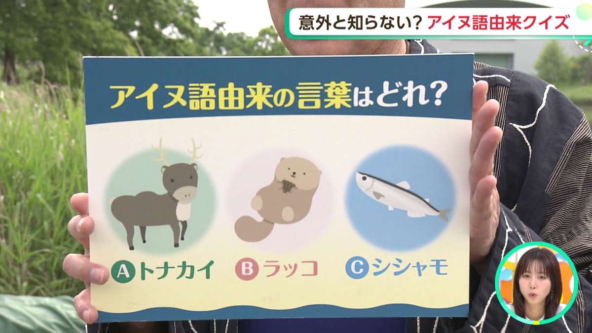 クイズ.png