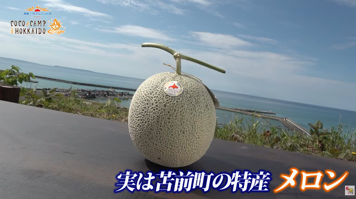 メロン.png