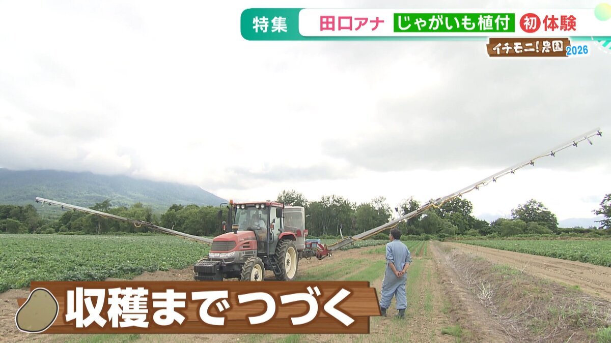 イチモニ農園①YouTube用.mp4_snapshot_06.55_[2026-07-28_11.12.52].jpg