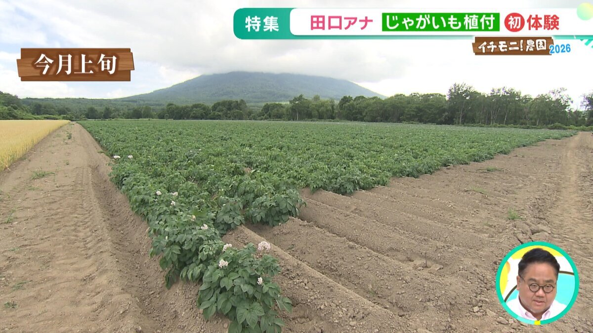 イチモニ農園①YouTube用.mp4_snapshot_06.44_[2026-07-28_11.12.40].jpg
