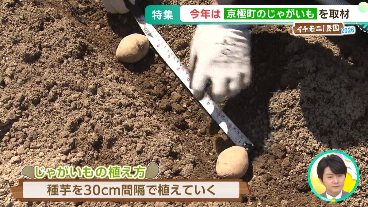 イチモニ農園①YouTube用.mp4_snapshot_02.56_[2026-07-28_11.08.09].jpg