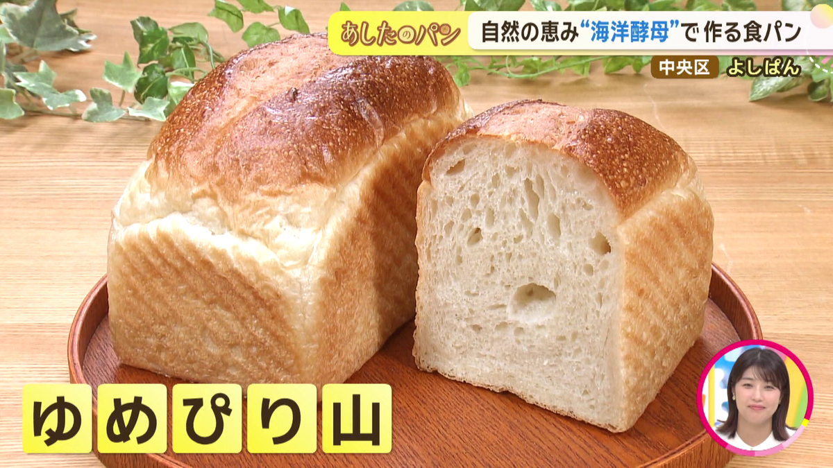 夢ピりヤマ.png