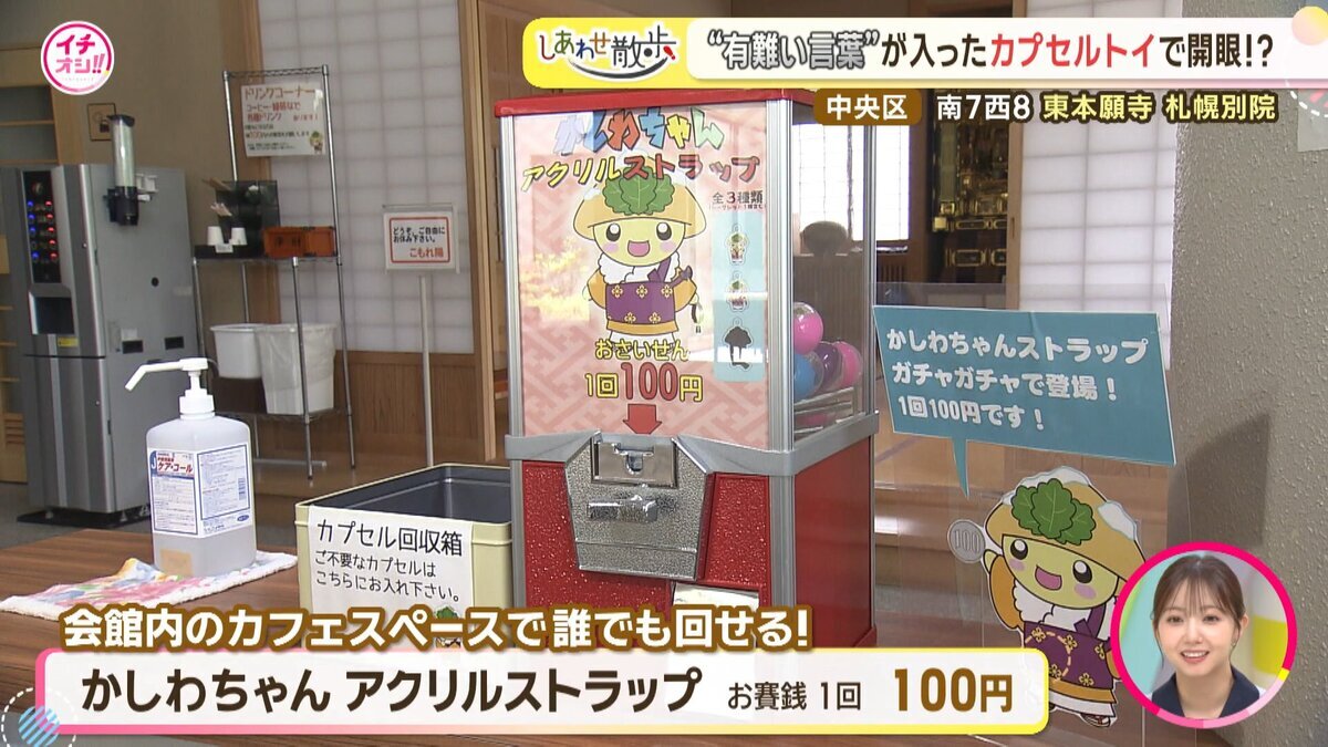 17分07秒.mp4_snapshot_03.50_[2026-08-07_19.02.37].jpg