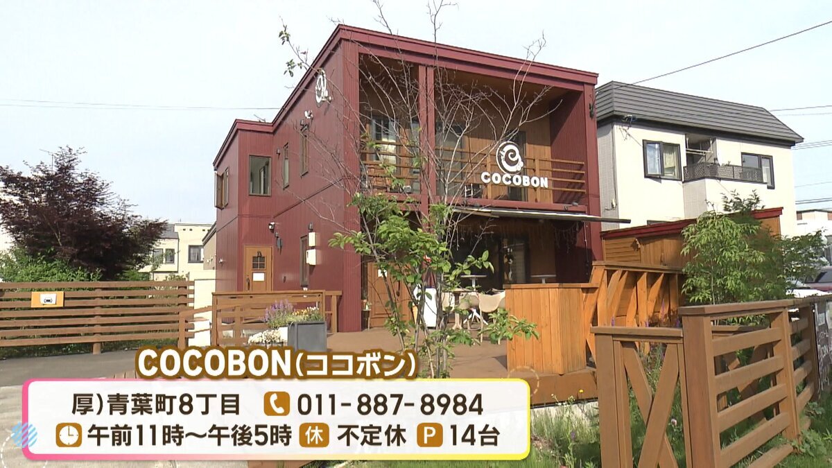 16分25秒.mp4_snapshot_10.46_[2026-08-21_16.08.16].jpg
