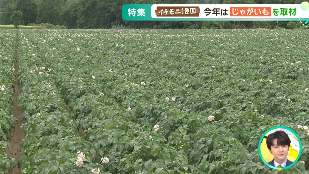 0826イチモニ農園YT用.mp4_snapshot_00.30_[2026-08-28_12.57.53].jpg